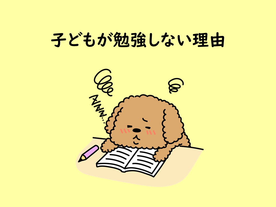 勉強をしない理由