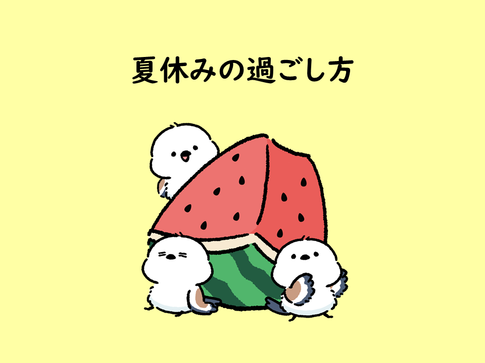 夏休みの過ごし方